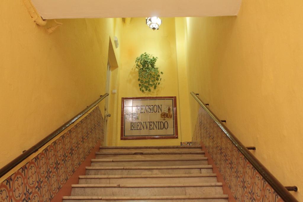 Pension Bienvenido Sevilla Oda fotoğraf
