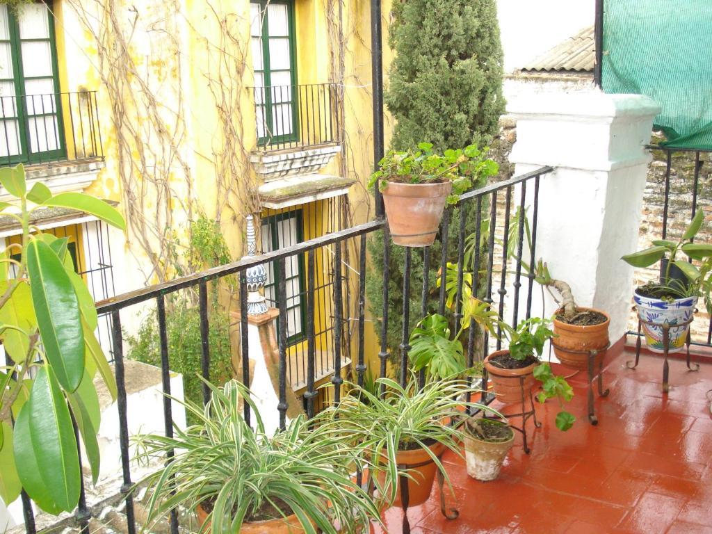 Pension Bienvenido Sevilla Dış mekan fotoğraf